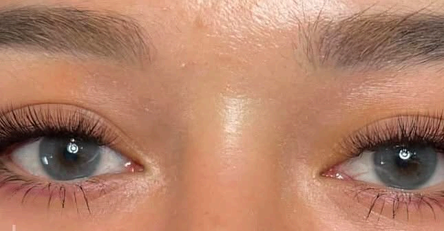 Natural classic lash extensions, close-up